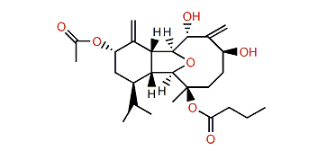 Krempfielin P